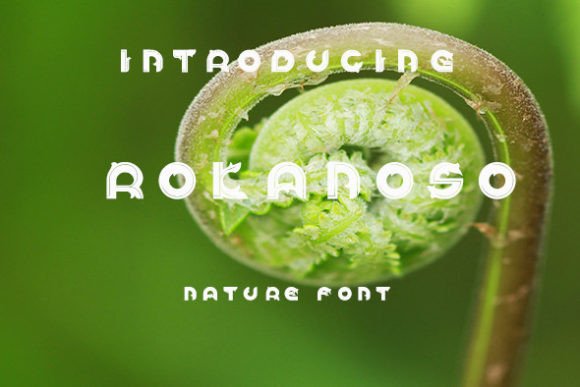 Rokanoso: A Natural Display Font for Handmade Brands